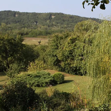 Family Friendly House With A Swimming Pool Rim, Istria - Sredisnja Istra - 7070 Roc