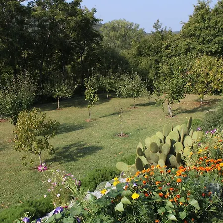 Family Friendly House With A Swimming Pool Rim, Istria - Sredisnja Istra - 7070 בית נופש Roč